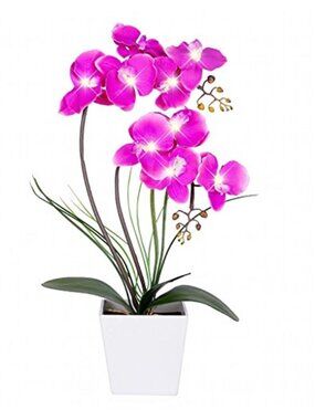 LED Lighted Artificial Orchid Arrangement Purple Faux Flower Lamp Light Up Decor